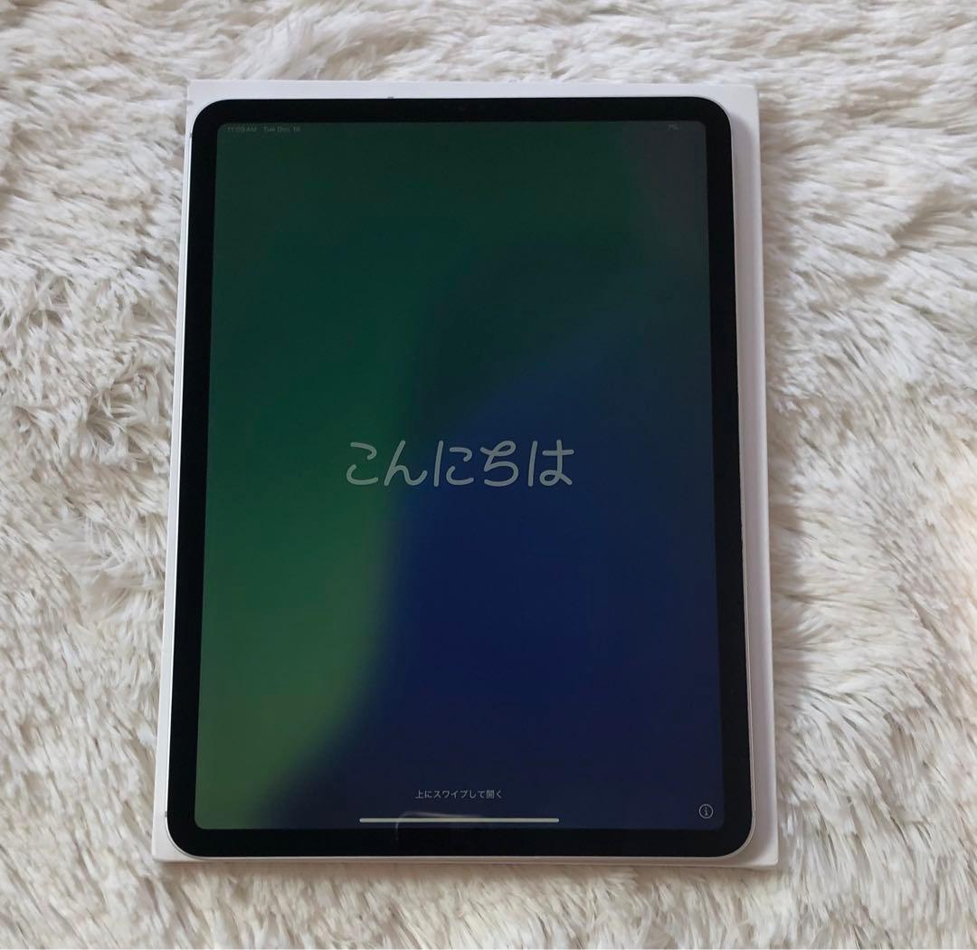 【完動品】iPad Pro 11 第1世代 256GB SIMフリー 【発送】