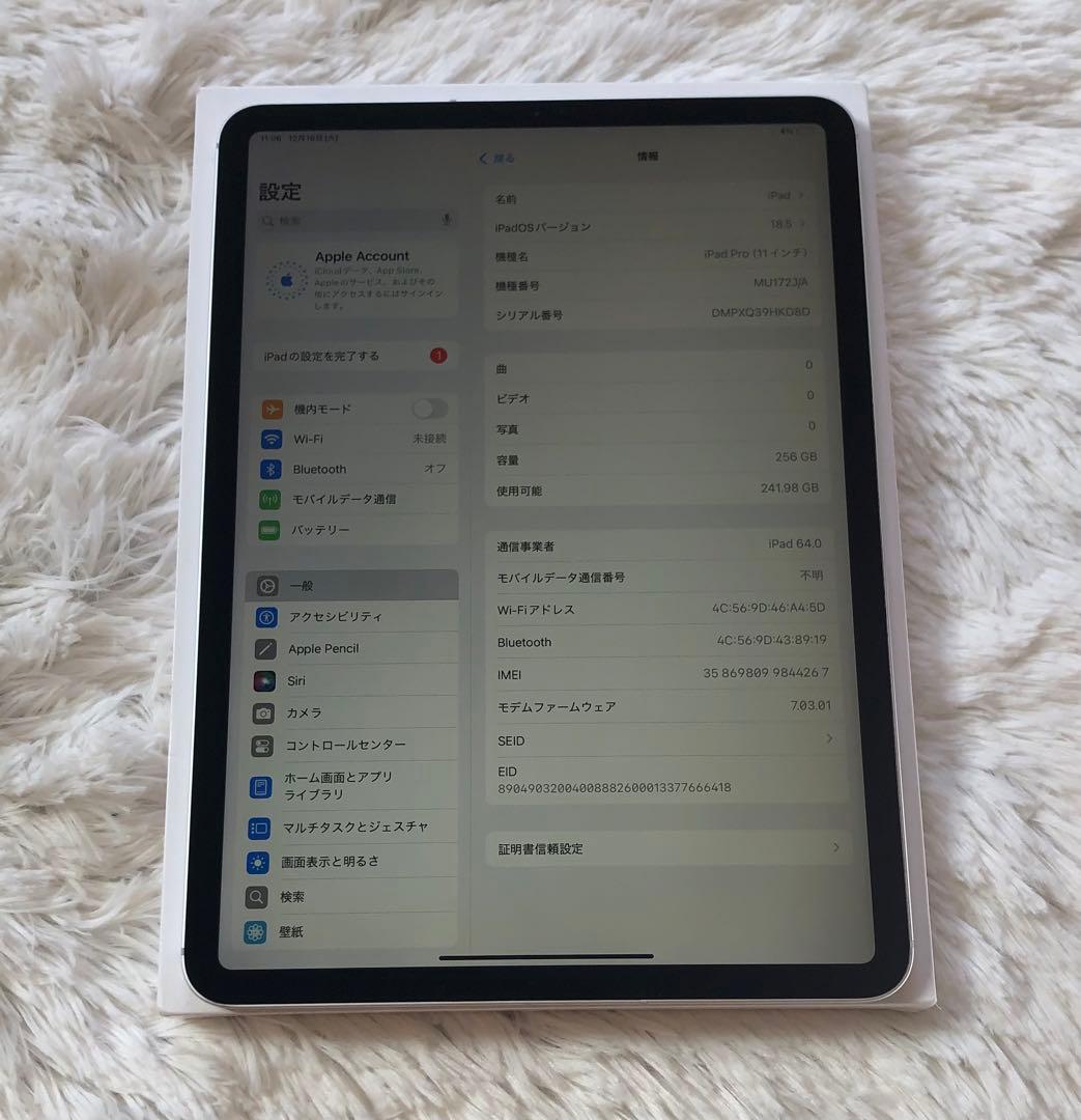 【完動品】iPad Pro 11 第1世代 256GB SIMフリー 【発送】