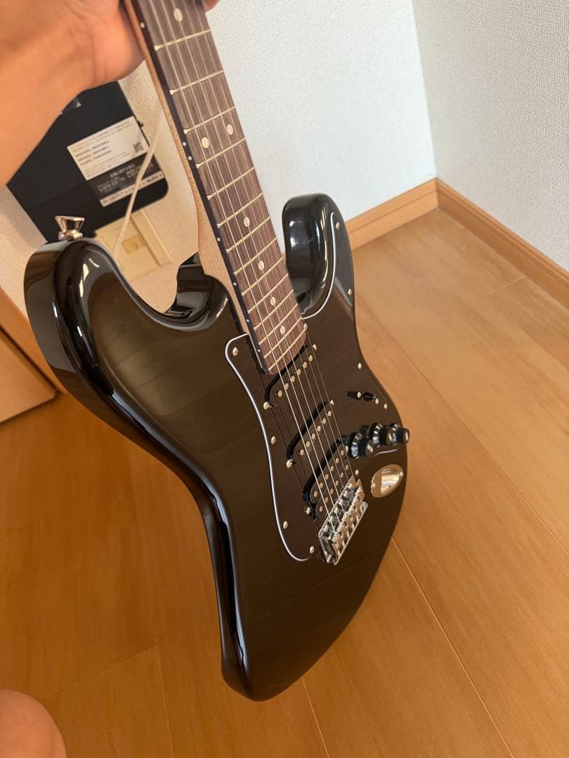 SELDER ストラトキャスタータイプ　ミラーピックガード