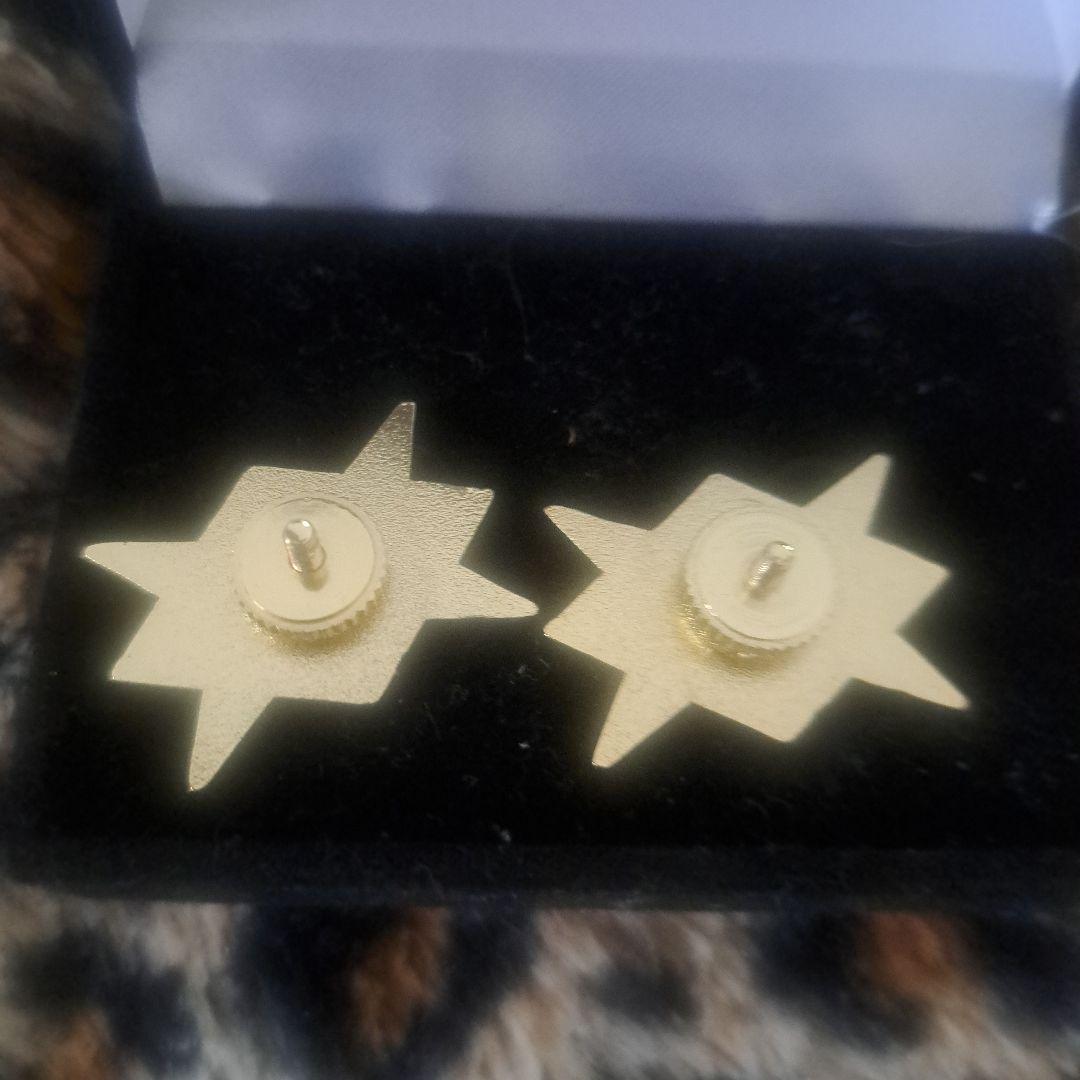 刃牙展 花山薫グッズ 花山組ピンバッジ2個セット ケース付き