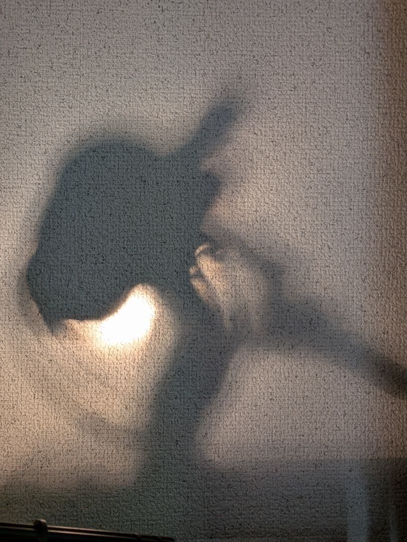 バルカンレイヴン MGS マクファーレントイズ 懐中電灯 メタルギア