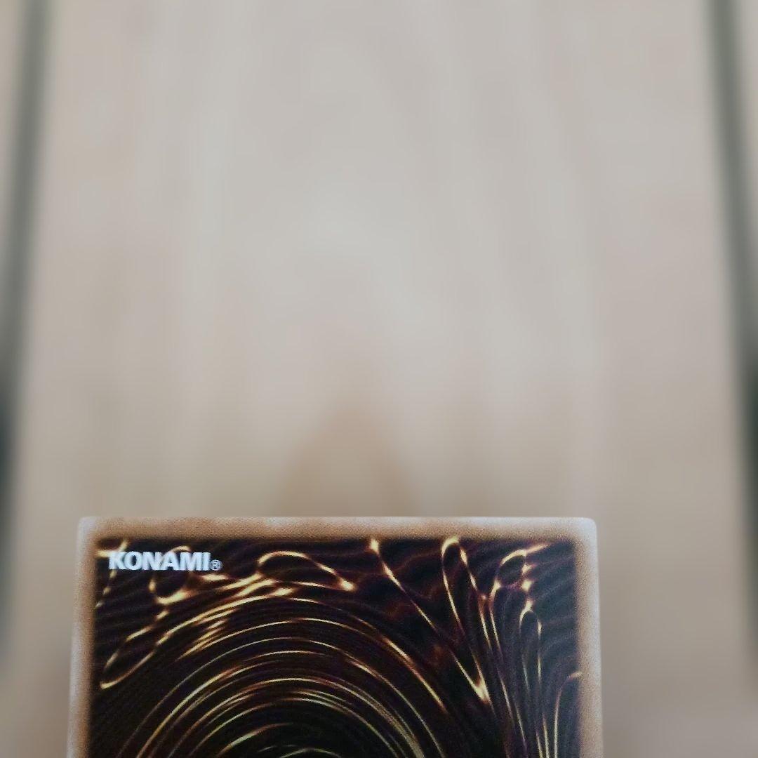 遊戯王 超融合 リンクリボーセット