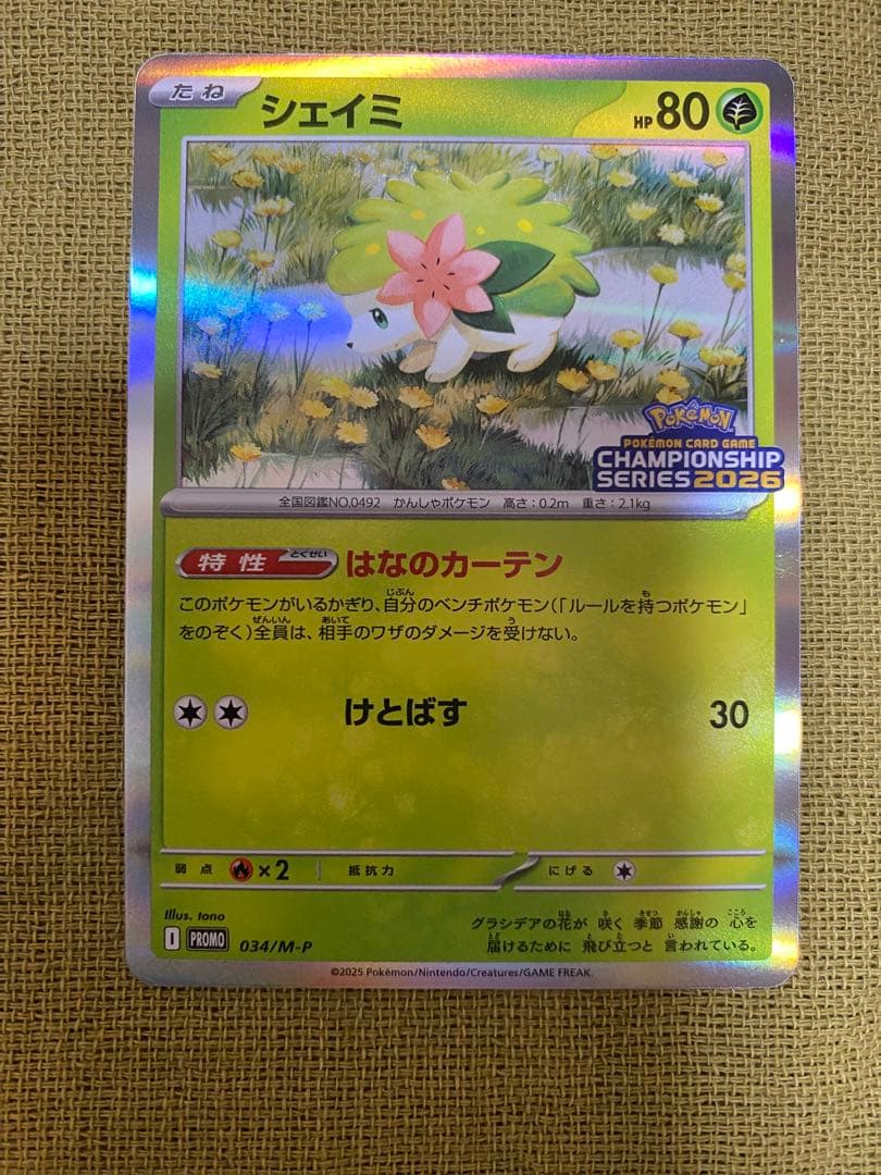 ミュウツーEXとシェイミカードセット（チャンピオンズリーグ2026）