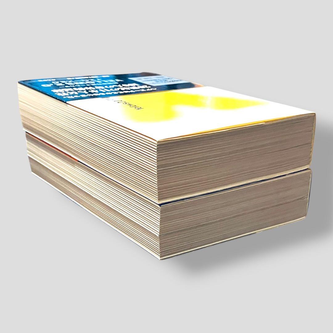五味彬 写真集 Yellows2.0 日本人 Yellows3.0 中国人セット