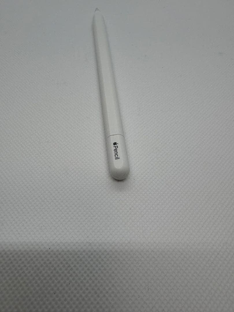 Apple Pencil USB-C アップル純正品