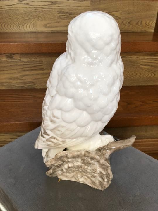 フクロウ（とまり木）