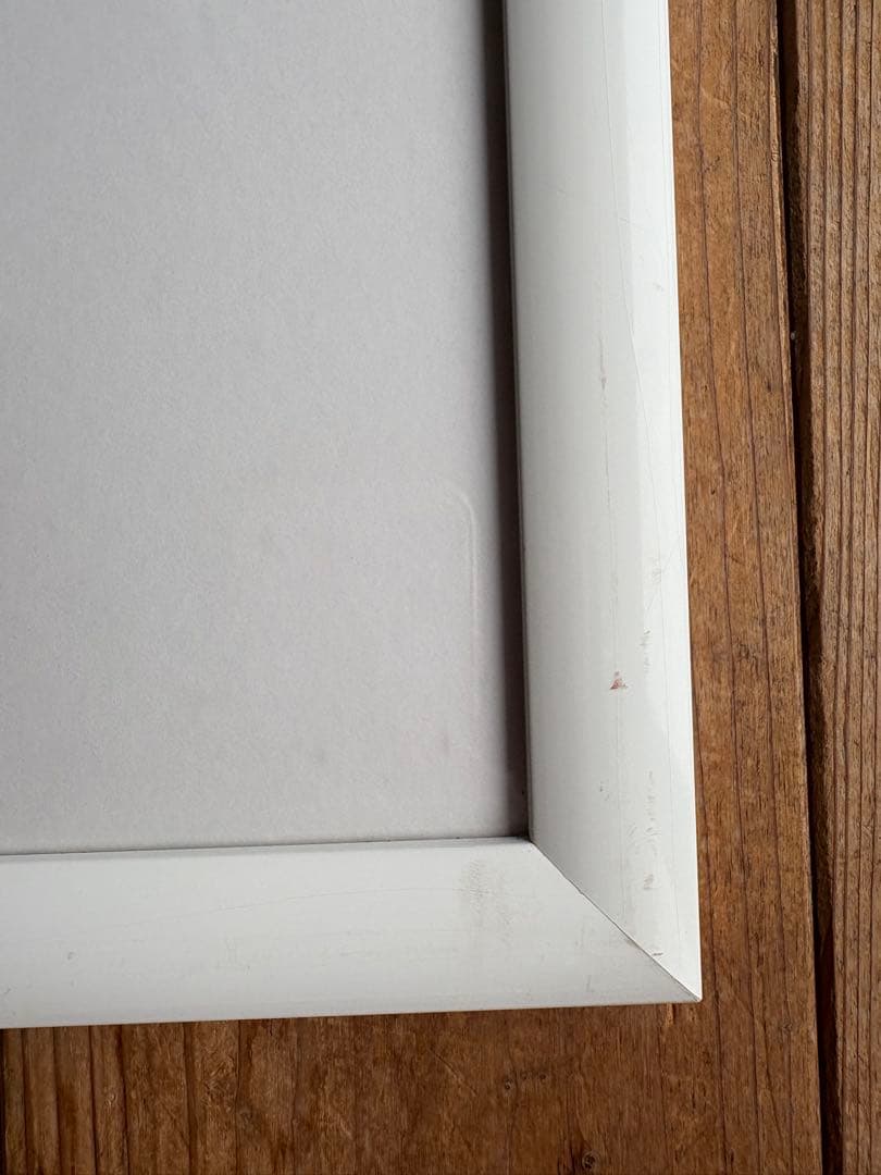 ザ・ロイヤルファミリー　ビクトール・スパン　ポロ　オーガロ　リトグラフ　箱付き