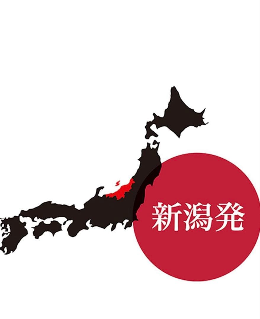 二段蒸し器 新潟発　ウルシヤマ金属 23センチSPNS-23SM