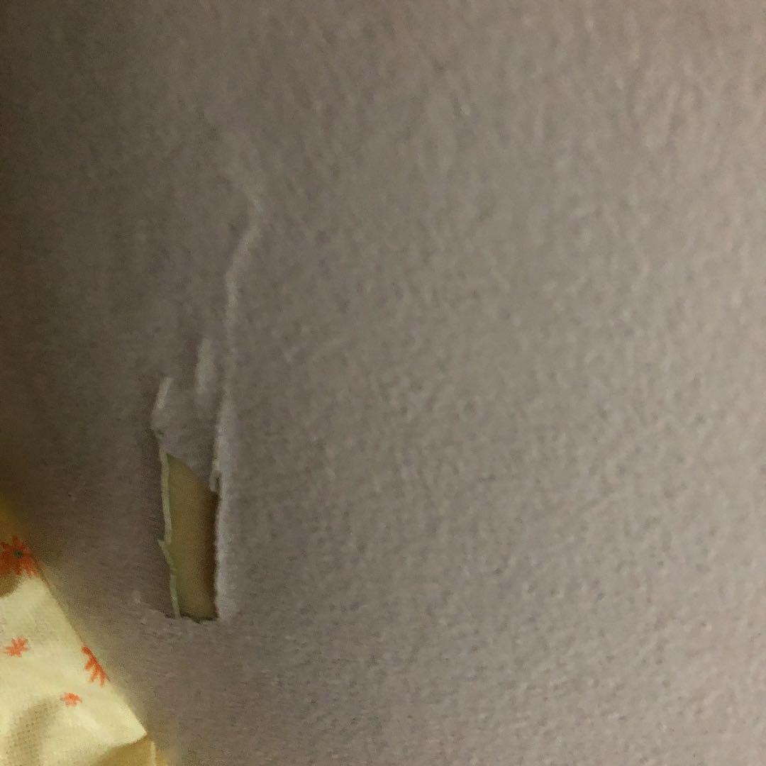 イン卵様