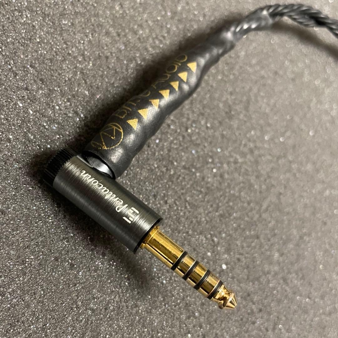 Brise Audio ASUHA Ref.2 Pentaconn ear 標準