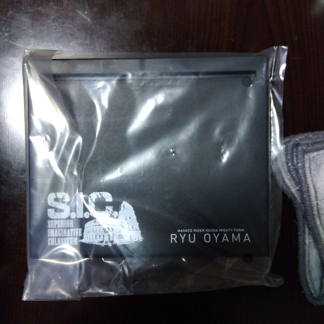 仮面ライダーグウガ マイティフォーム S.I.C. 2020年発売モデル