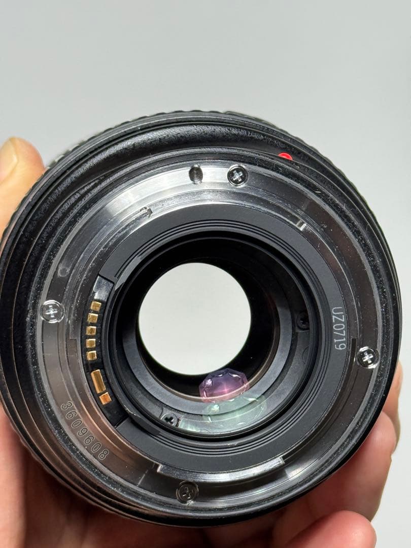 Canon 24-70 f2.8 L USM ズームレンズ キャノン