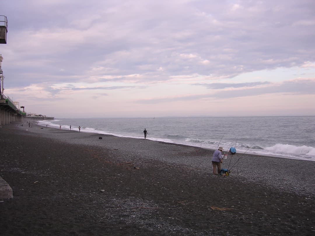 実写美⭕️美品【動作確認済】Nikon COOLPIX 3100 シルバー