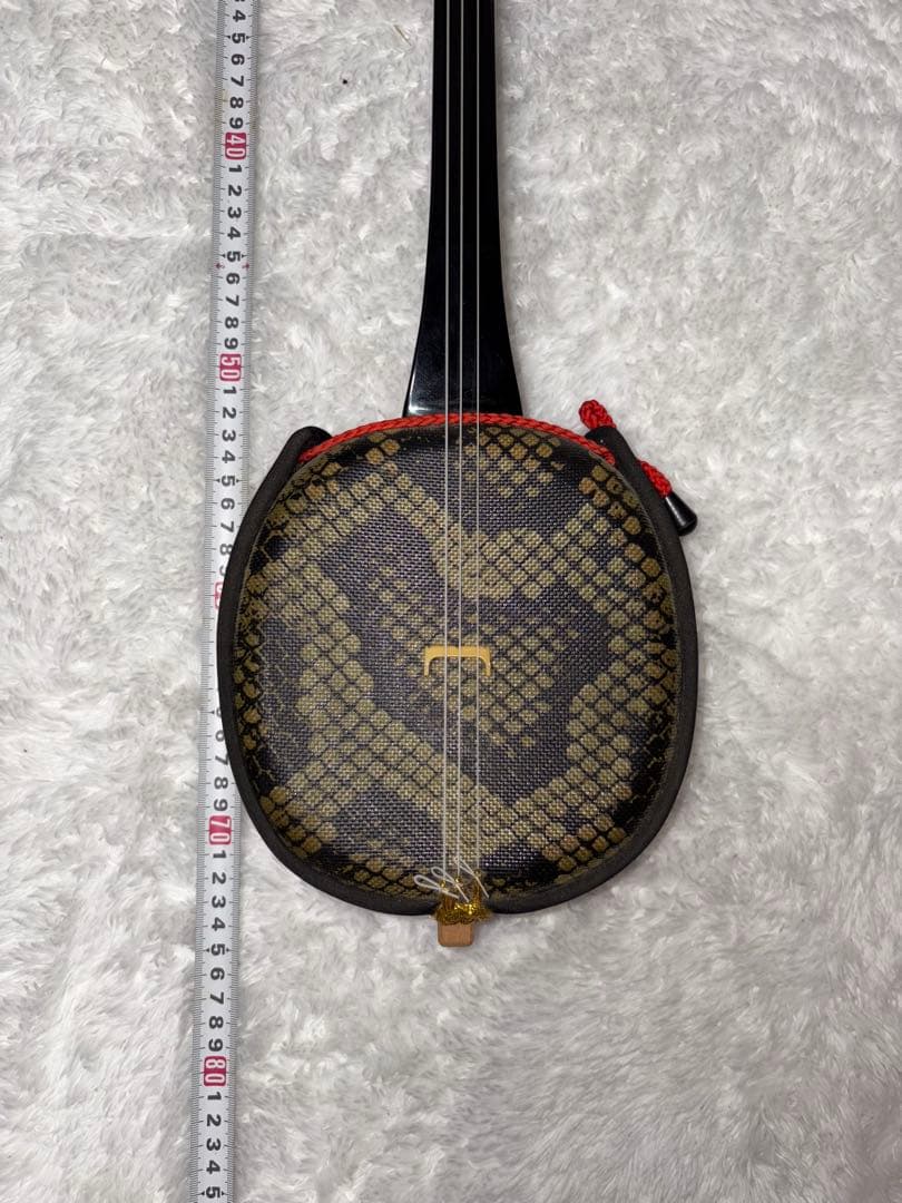 三線 沖縄伝統楽器