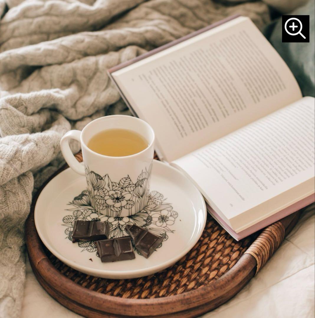 新品アラビアARABIAクロッカス マグカップ　300ml プレート　19㎝