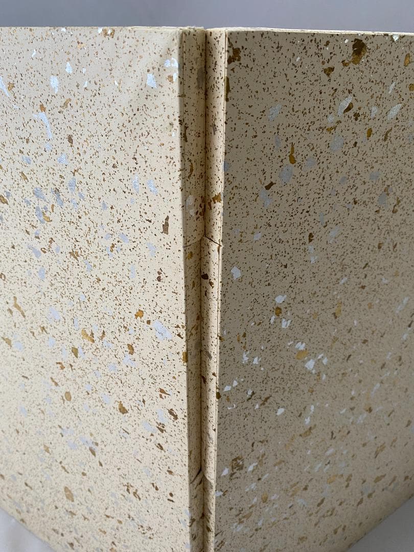 京友禅　孔雀 刺繍 二曲屏風 正絹　シルク　リメイク　京表具　Byobu