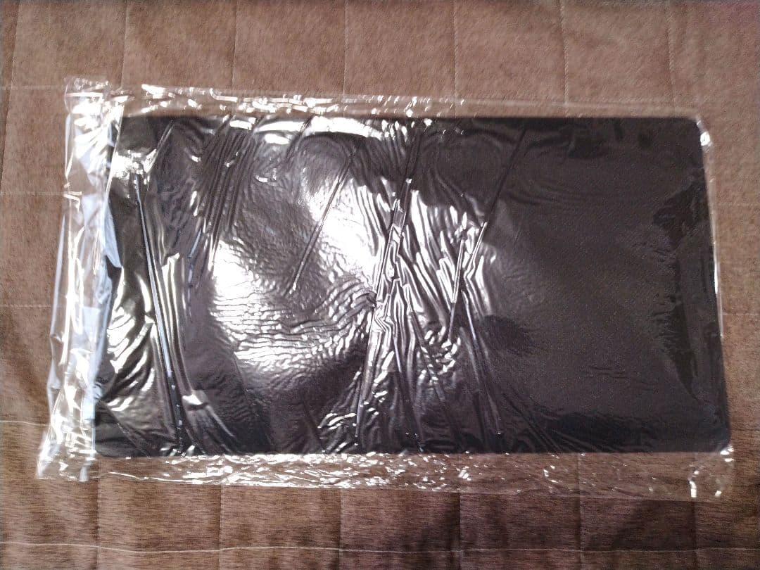 本人直筆サイン入り　ラストサン2025プレイマット