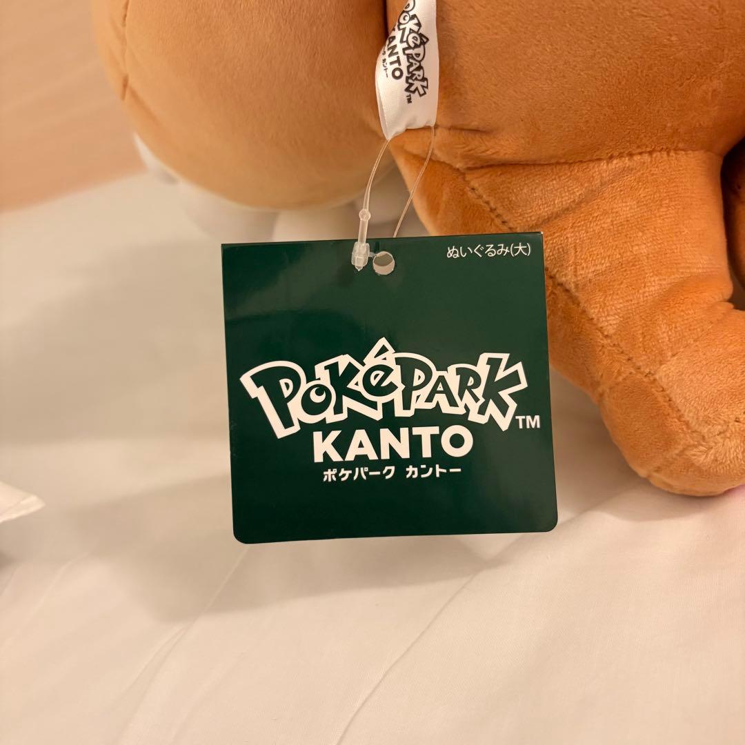 【お顔厳選済み！】ポケパークカントー 限定 イーブイ ぬいぐるみ 特大