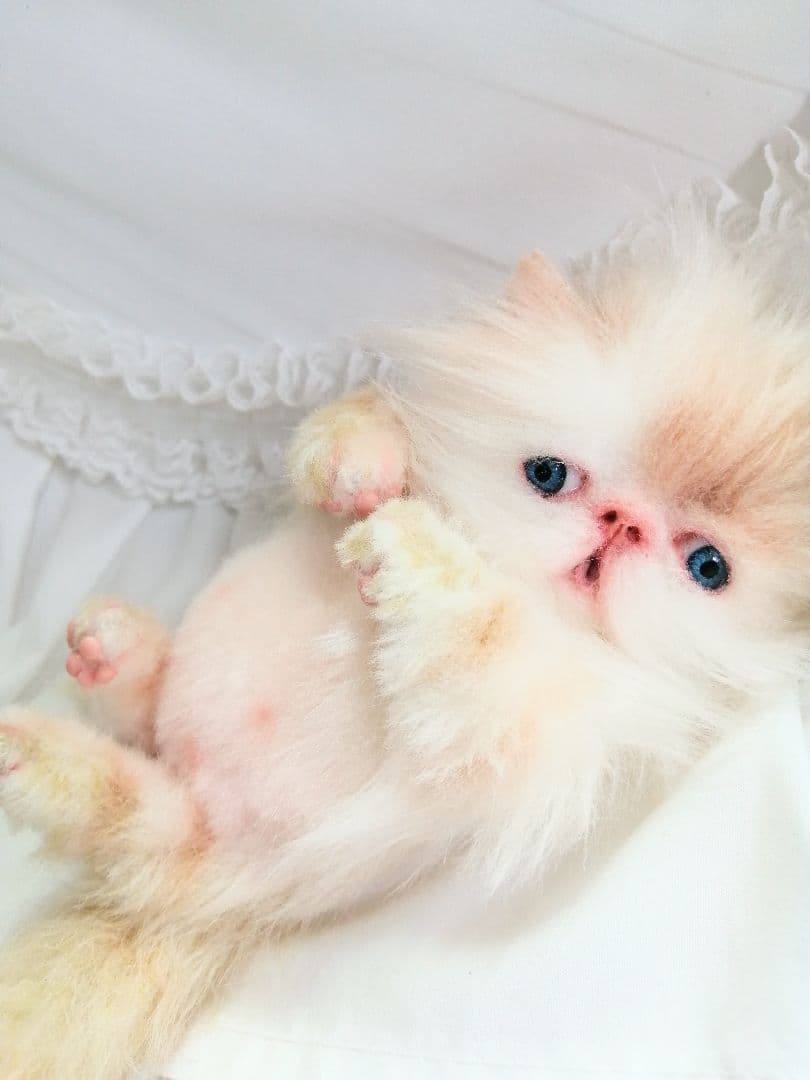 小さなプリンセス♡可愛い子猫ちゃん♡アートドール♡ぬいぐるみ♡