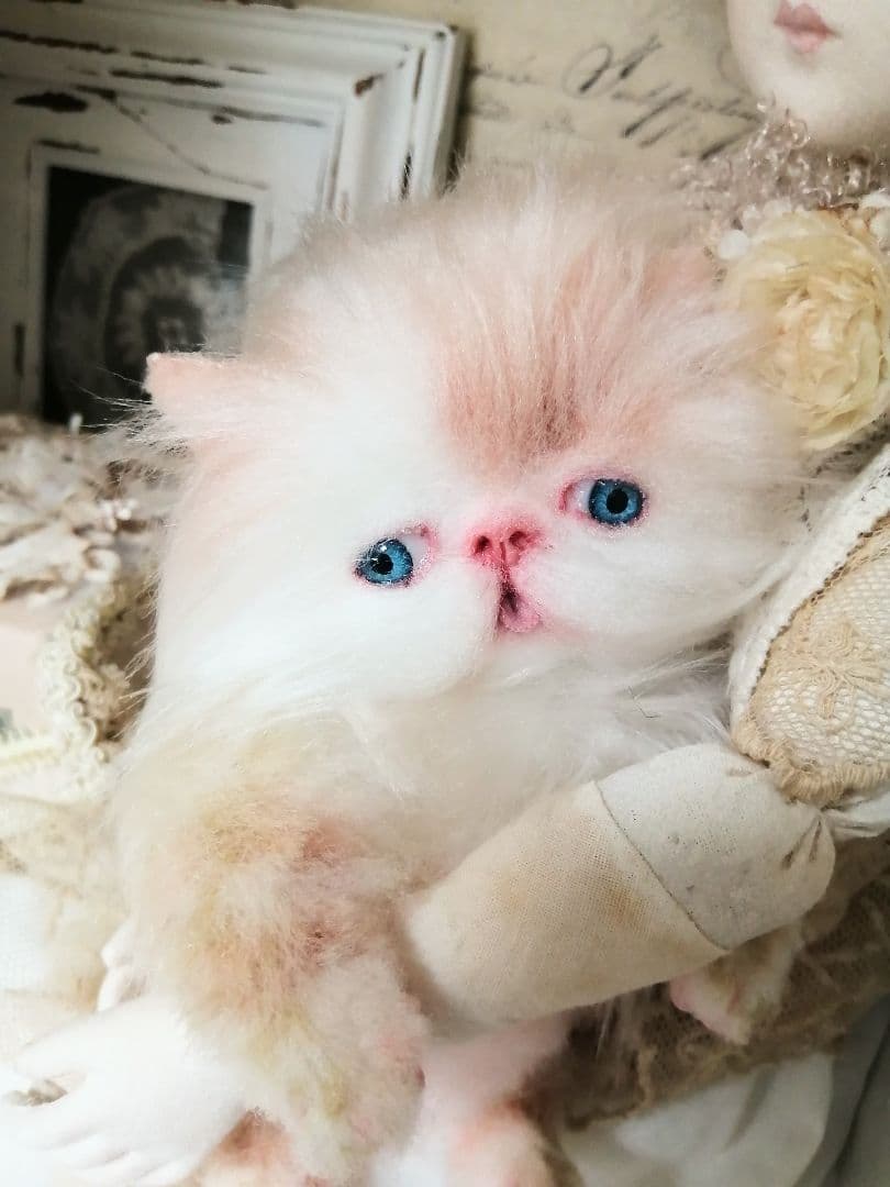 小さなプリンセス♡可愛い子猫ちゃん♡アートドール♡ぬいぐるみ♡