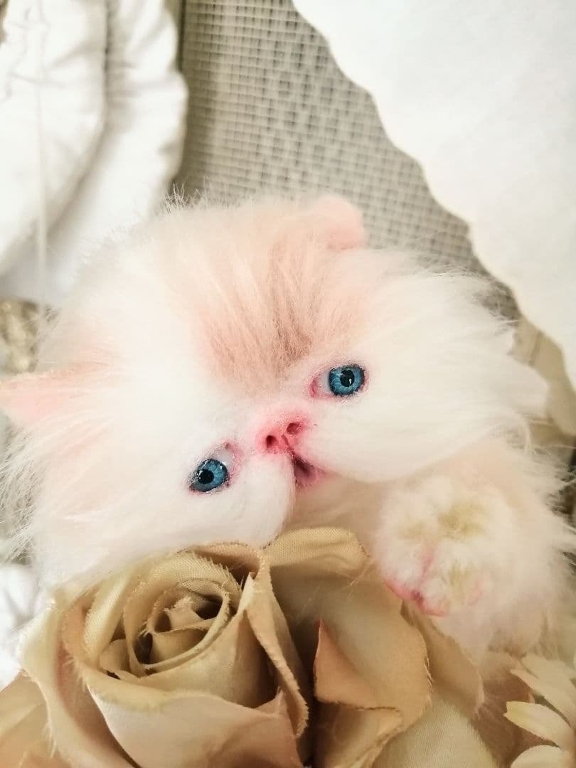 小さなプリンセス♡可愛い子猫ちゃん♡アートドール♡ぬいぐるみ♡