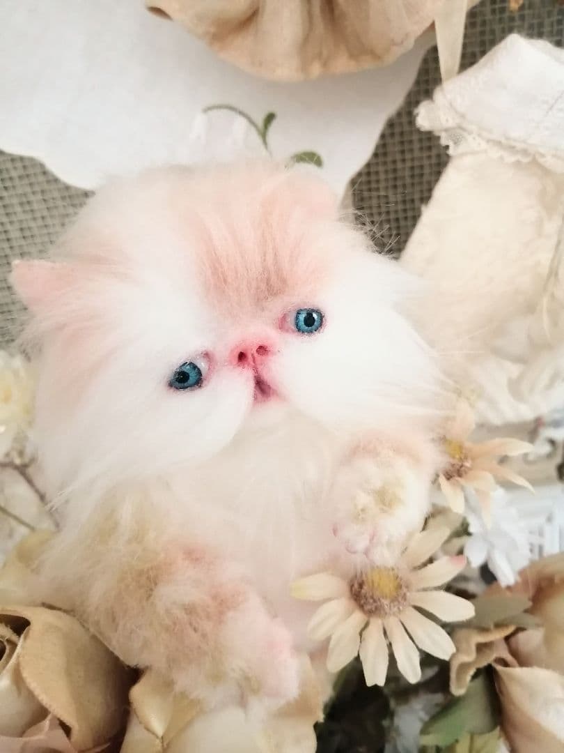 小さなプリンセス♡可愛い子猫ちゃん♡アートドール♡ぬいぐるみ♡
