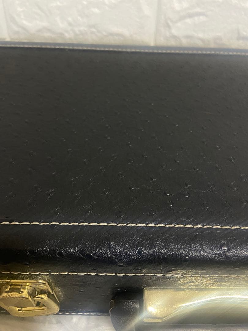 三線 沖縄 人工皮　蛇　オーストリッチ型押しハードケース付き