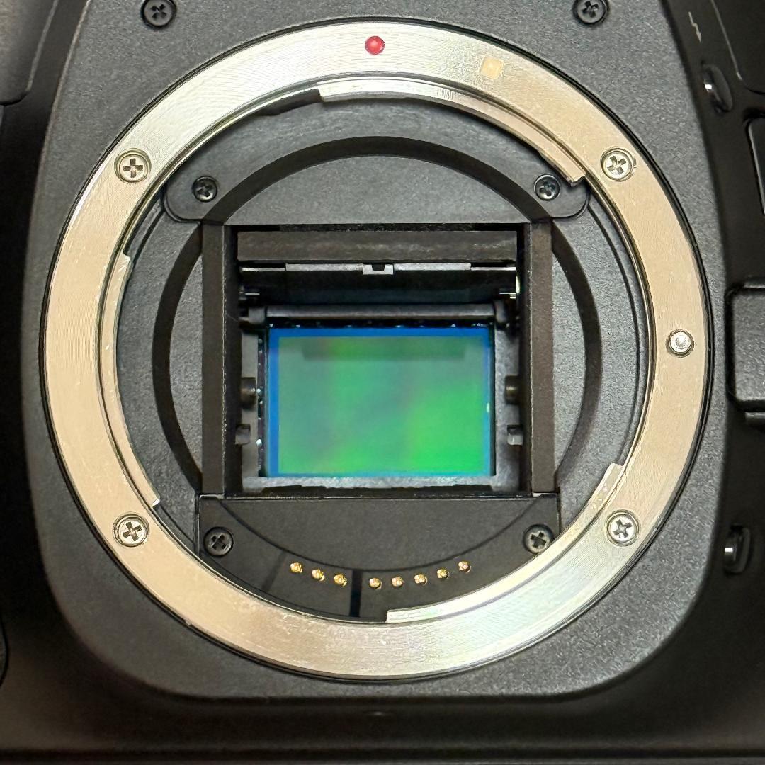 Canon EOS30D デジタル一眼レフカメラ／ボディ＆付属品一式