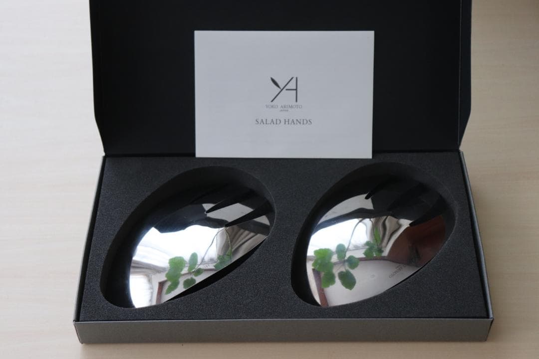 有元葉子　サラダハンド　ディノス