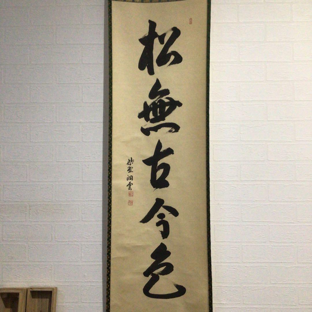 Ｋ２２８　掛軸　大徳寺　森洞雲　『松無古今色』　共箱　『真作』　肉筆　一行書