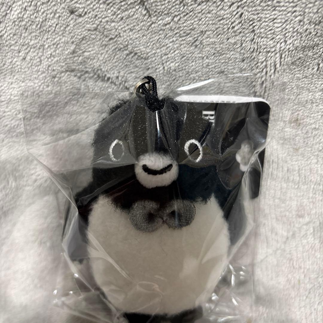 バースデイバー ペンギン マスコットキーホルダー Suica