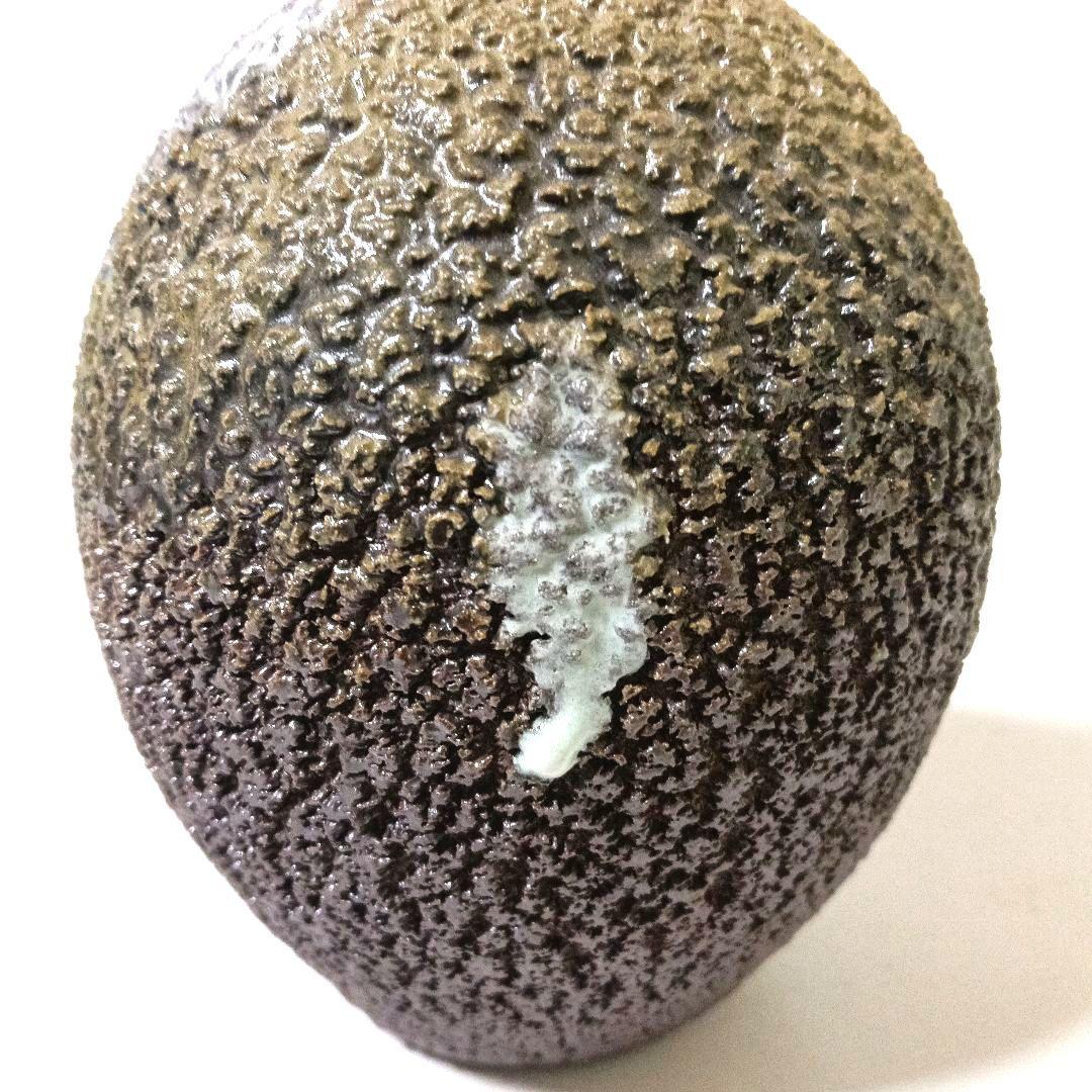 越前焼 塩越窯 白越不朝 裂久 花瓶 花生 花入 花器 共箱 共布 栞