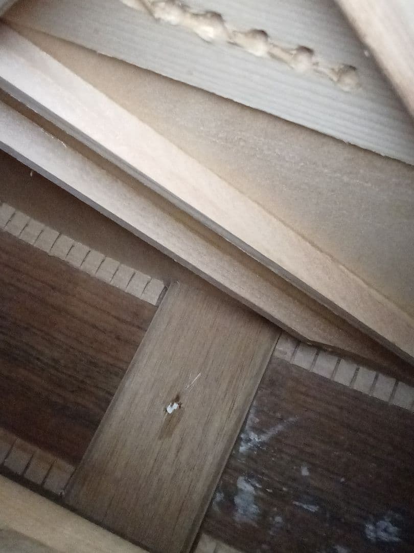 Yamaha アコースティックギター ハードケース付