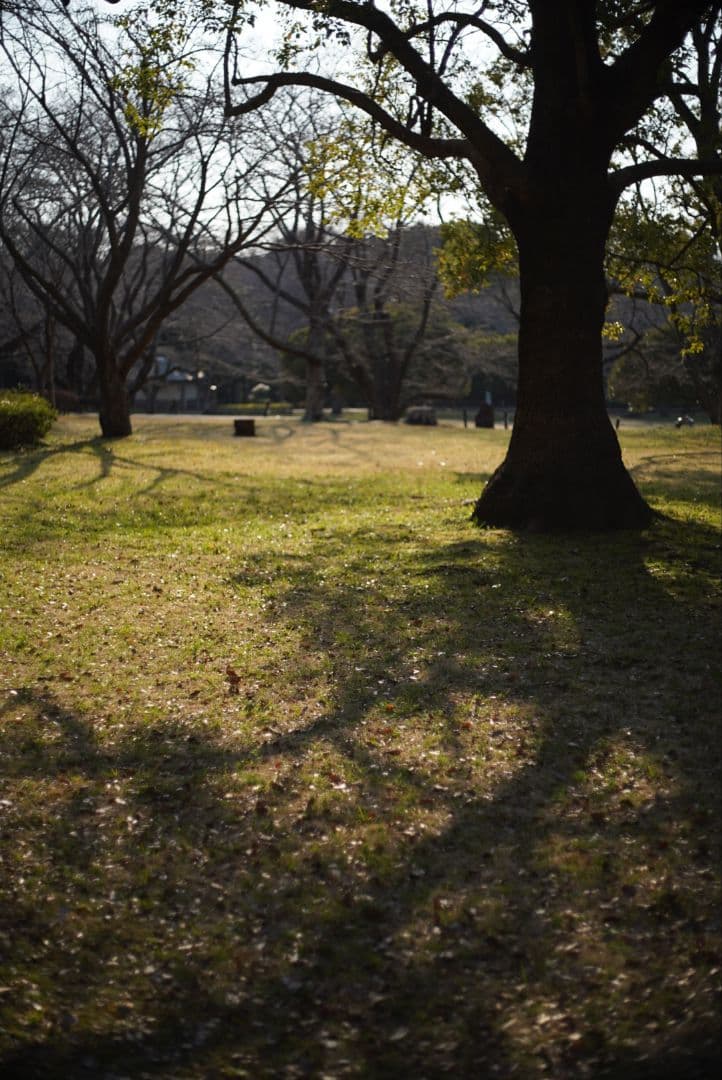 【動作確認済】RICOH XR RIKENON 50mm f2 富岡光学製