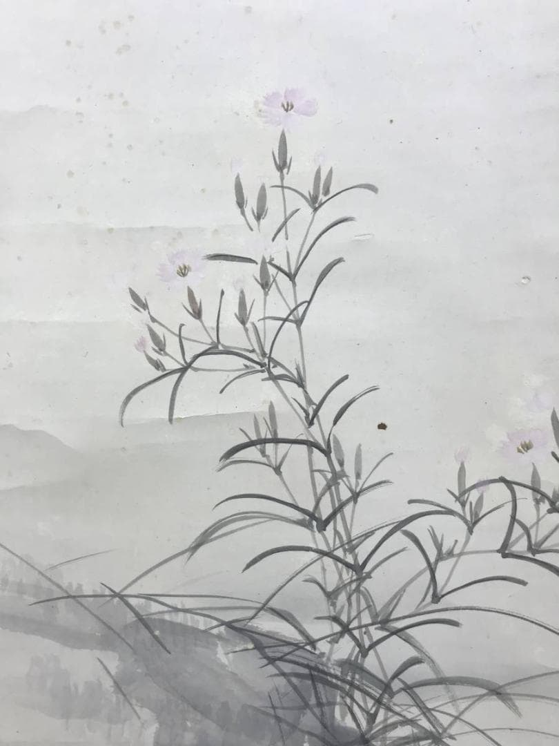 真作/石川有隣/撫子/ナデシコ図/花鳥図/蜻蛉図/掛軸/名家伝来AE-373