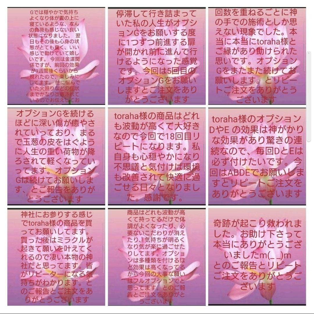 リピーター様（いちご様）のオプション追加の商品です（オルゴナイト　天珠）