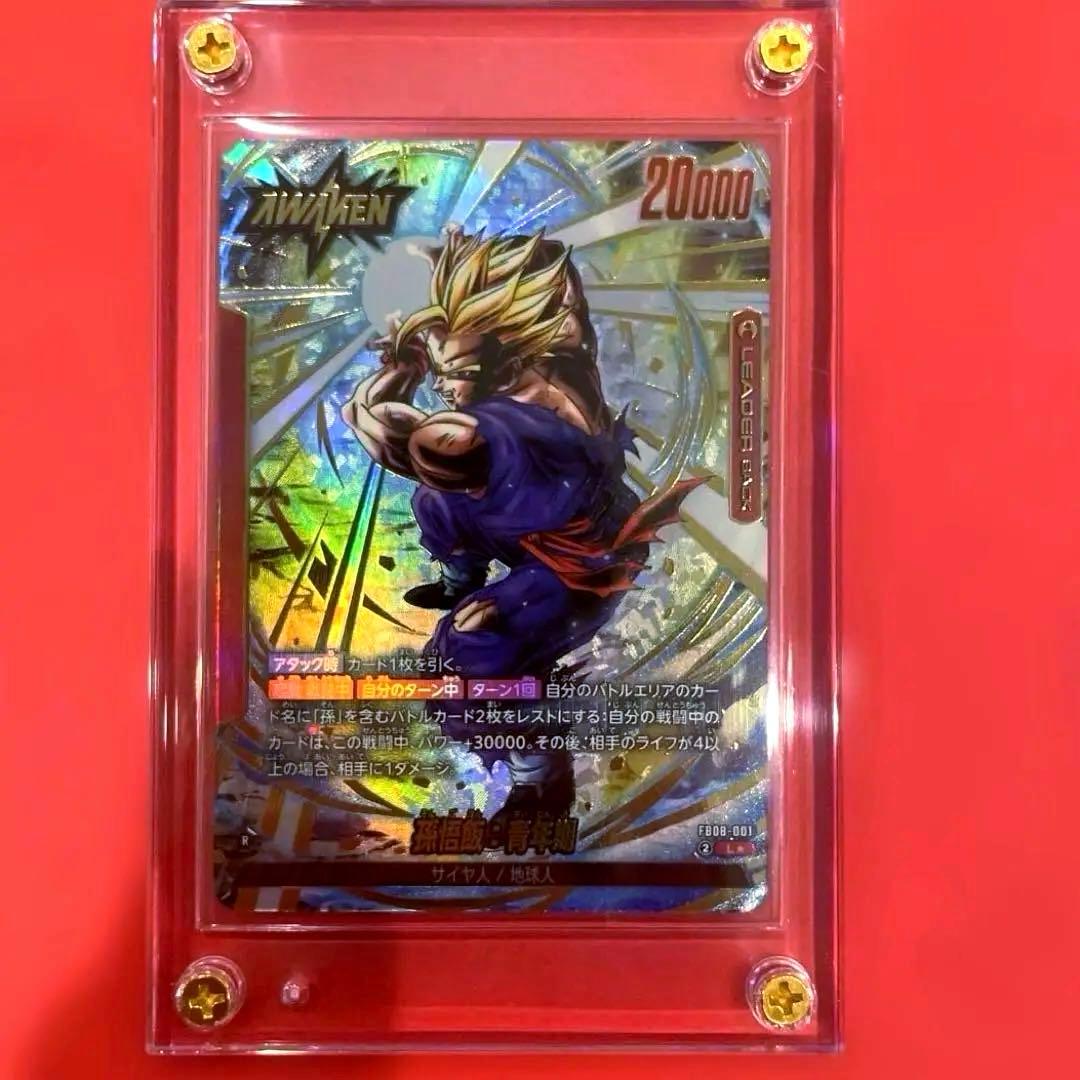 孫悟飯 : 青年期　L⭐︎ パラレル　超美品　誇り高き戦闘民族　ドラゴンボール