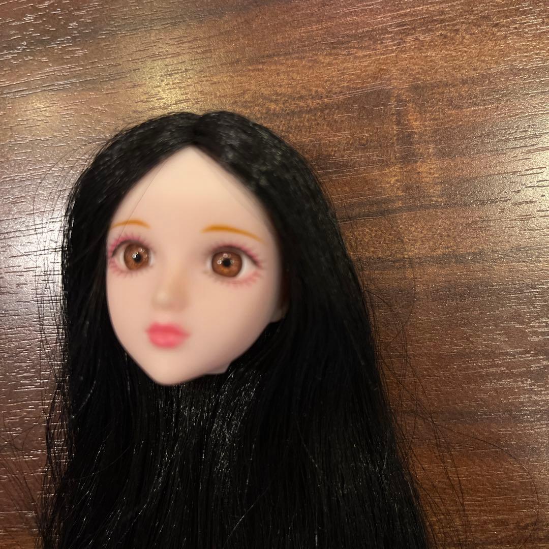 1/6ヘッドウィッグCUT I C ATE