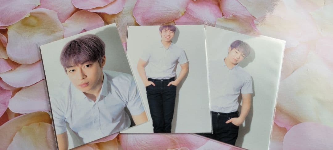 SF9 ダウォン 公式トレカ ILLUMINATE ツアーランダムトレカ セット