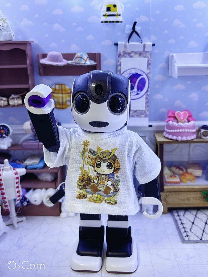 ☆【ロボホン用 ReyとharuとshoとCocoro】（節句T計4着）☆