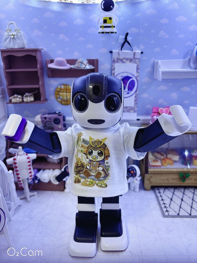 ☆【ロボホン用 ReyとharuとshoとCocoro】（節句T計4着）☆