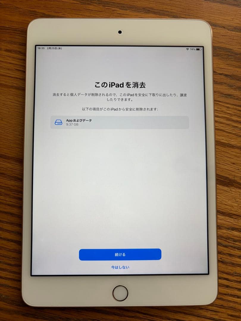 iPad mini4 A1538 64GB Gold Wi-Fi アダプター付