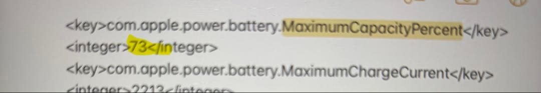 iPad mini4 A1538 64GB Gold Wi-Fi アダプター付