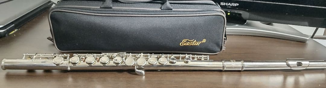 Easter フルート ケース・付属品多数 初心者 入門 管楽器
