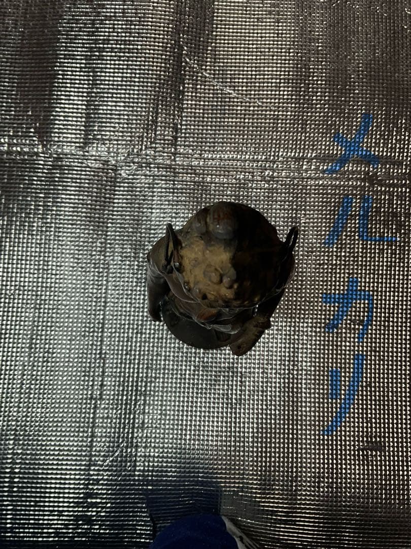 正観世音菩薩立像／銅製。【高さ／38cm、重さ／2.6kg 作者不明？】。