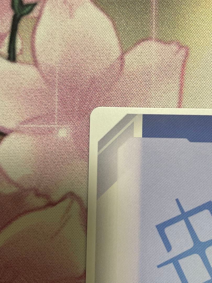 zガンダム　ニュータイプチャレンジ