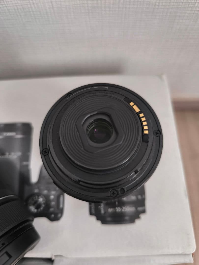 Canon EOS Kiss X9i レンズ2本