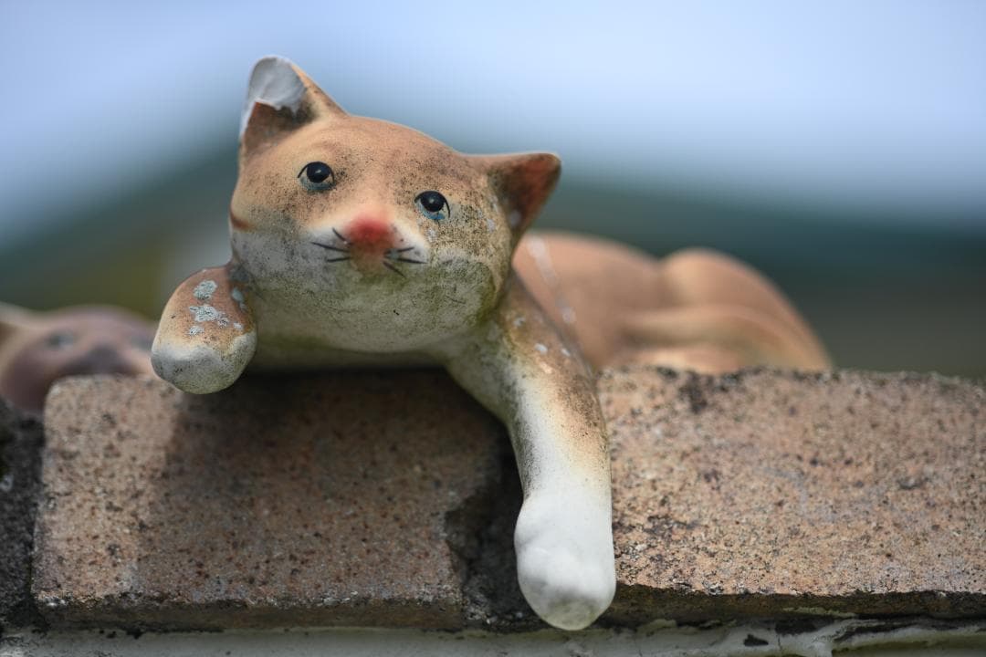 レンズ(単焦点) Nikon Ai-S Micro-NIKKOR 105mm F2.8