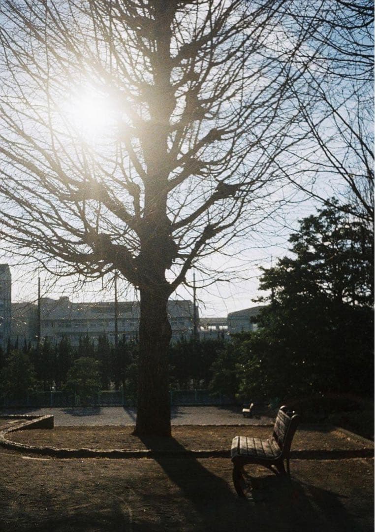 作例必見！OLYMPUS PEN D2