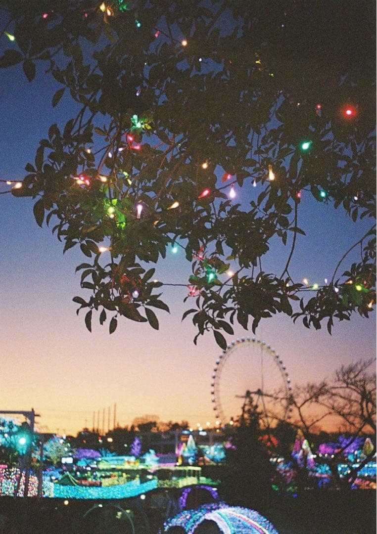 作例必見！OLYMPUS PEN D2